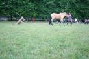 CAvAlle 15 * 4368 x 2912 * (6.26MB)